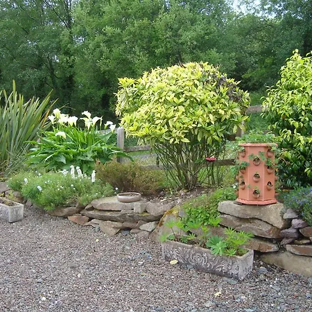 Sheenview Bed & Breakfast