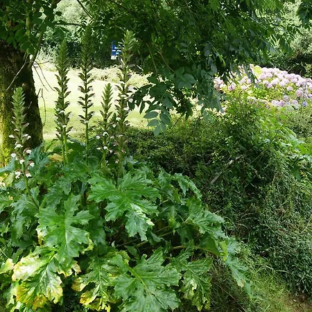 Bed & Breakfast Sheenview Kenmare